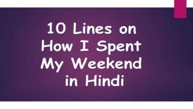 10 Lines on How I Spent My Weekend in Hindi