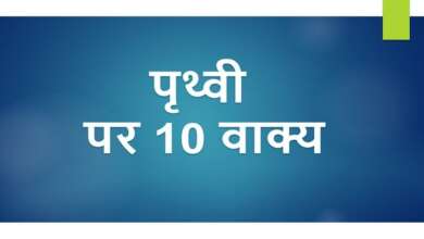 10 Lines on Earth in Hindi