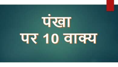 10 Lines on Fan in Hindi