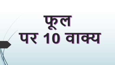 10 Lines on Flower in Hindi