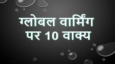 10 Lines on Global Warming in Hindi