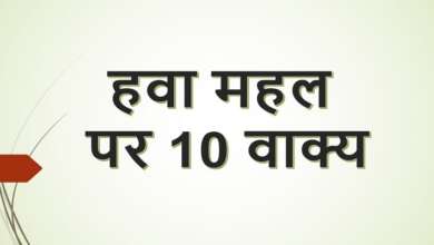 10 Lines on Hawa Mahal in Hindi