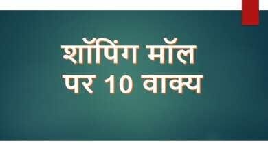 10 Lines on Shopping Mall in Hindi