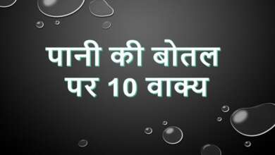 10 Lines on Water Bottle in Hindi